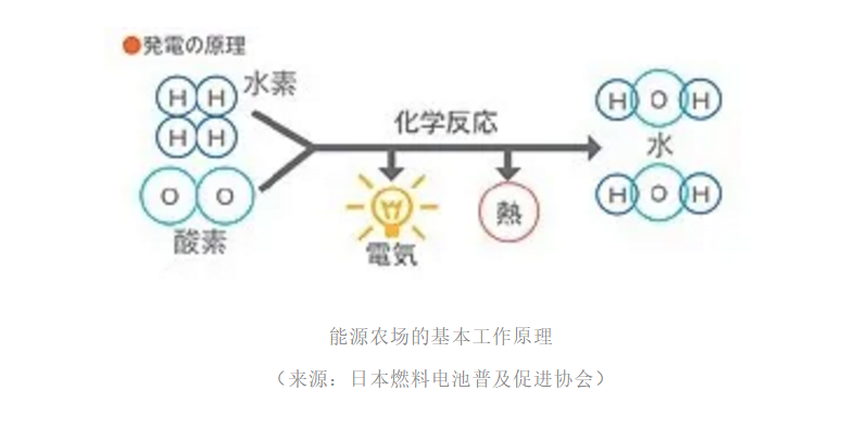 氢能社会早体验，带你全面了解全球领先的日本“能源农场”