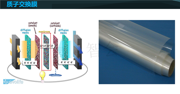 同济大学杨彦博博士：氢燃料电池技术的安全原理