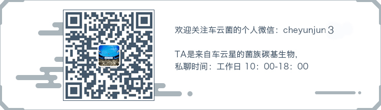 智能驾驶芯片争夺战 【图】