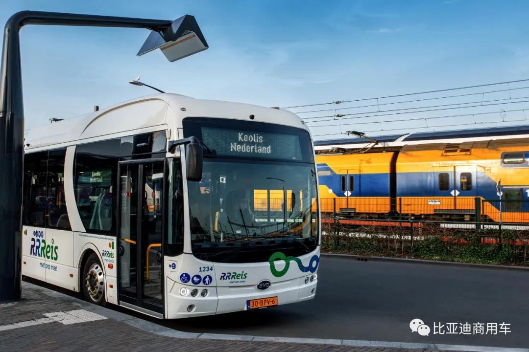 全欧最大纯电动大巴车队如期交付，比亚迪绿色新能源战略交“高分答卷”