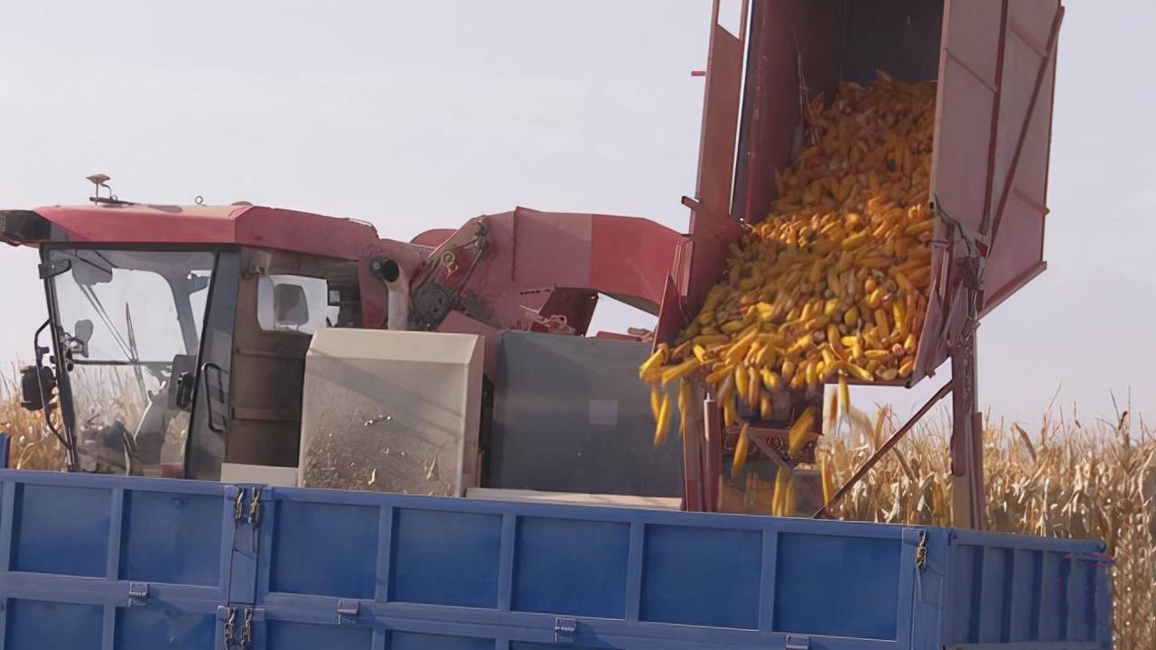 全国首台无人驾驶玉米收割机在酒泉市下线并顺利试运行