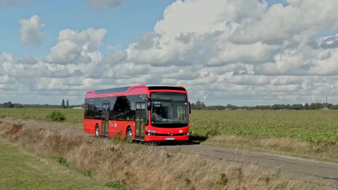 开启绿色交通新序曲，德国最大公共交通运营商迎全新比亚迪纯电动巴士车队 