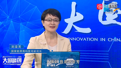 刘亚芳：加快发展新型储能已成国际国内基本共识