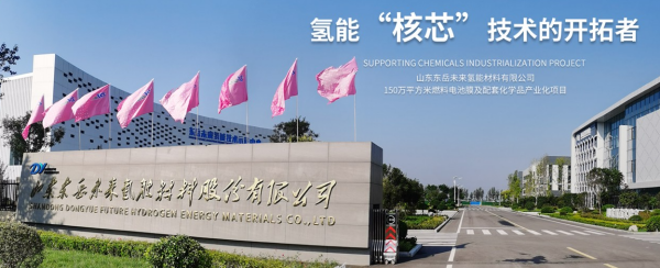 继国富、重塑之后，东岳氢能启动IPO