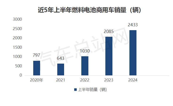 2024上半年FCV终端市场销量分析：格局异变