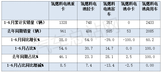 2024上半年FCV终端市场销量分析：格局异变