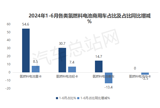 2024上半年FCV终端市场销量分析：格局异变