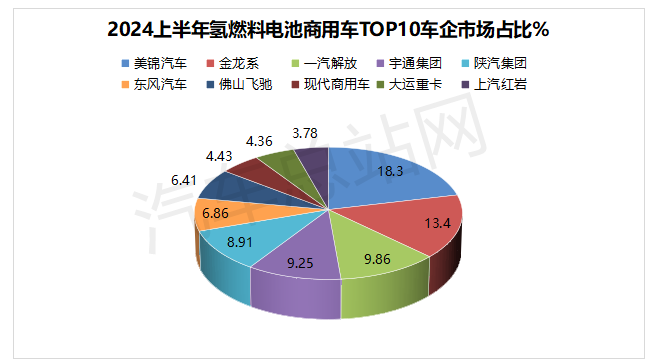 2024上半年FCV终端市场销量分析：格局异变