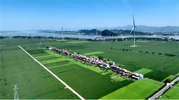 风光储氢加持，长江流域首个“零碳岛”正式投运
